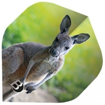 Bulls motex flite bulls kangaroo 75 micron