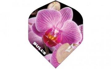 Dartflightbullspowerflite50832orchid