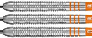 Target raymond van barneveld rvb 80 1